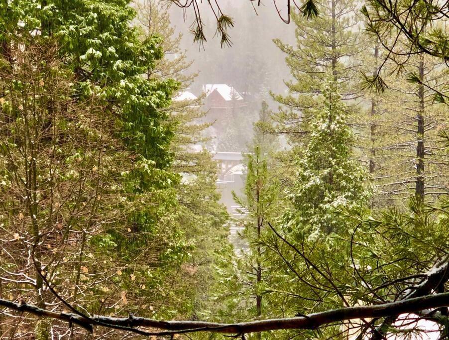 Glimmer Chalet Treetop A-Frame Cabin Lake View Lake Arrowhead Bagian luar foto
