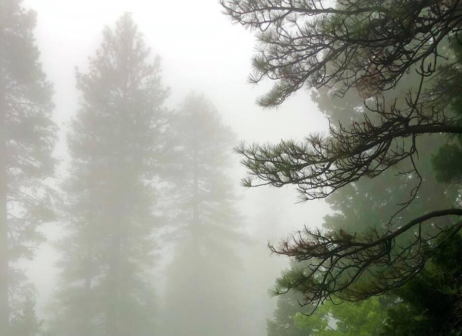 Glimmer Chalet Treetop A-Frame Cabin Lake View Lake Arrowhead Bagian luar foto